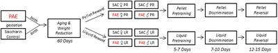 Reinforcer value moderates the effects of prenatal alcohol exposure on learning and reversal